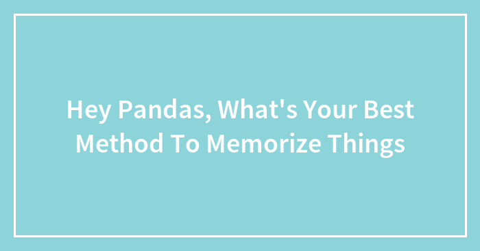 Hey Pandas, What’s Your Best Method To Memorize Things