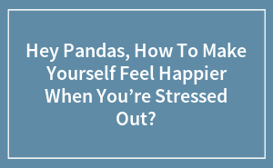 Hey Pandas, How To Make Yourself Feel Happier When You’re Stressed Out?