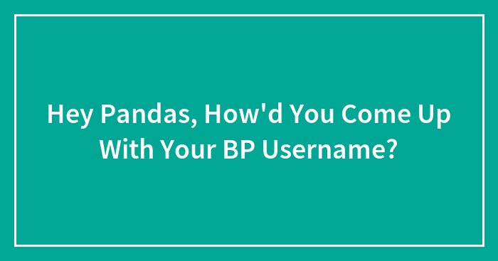 Hey Pandas, How’d You Come Up With Your BP Username?