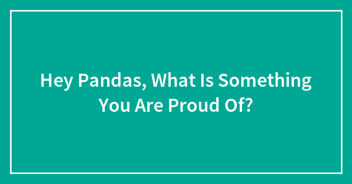 Hey Pandas, What Is Something You Are Proud Of?