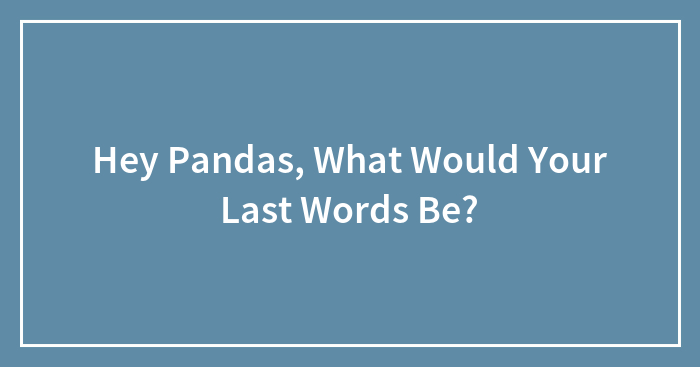 Hey Pandas, What Would Your Last Words Be?