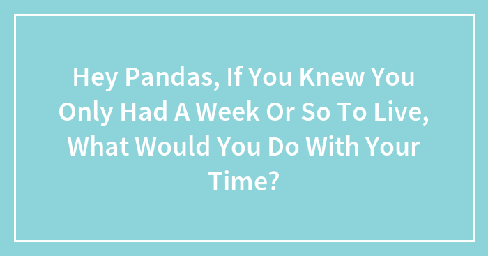 Hey Pandas, If You Knew You Only Had A Week Or So To Live, What Would You Do With Your Time? (Closed)