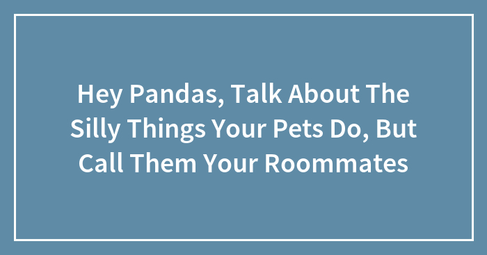 Hey Pandas, Talk About The Silly Things Your Pets Do, But Call Them Your Roommates