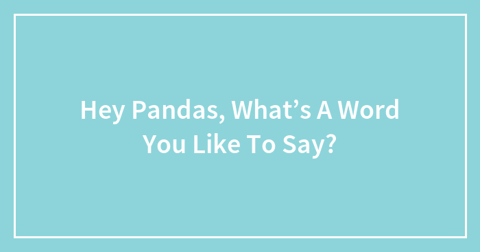 Hey Pandas, What’s A Word You Like To Say?
