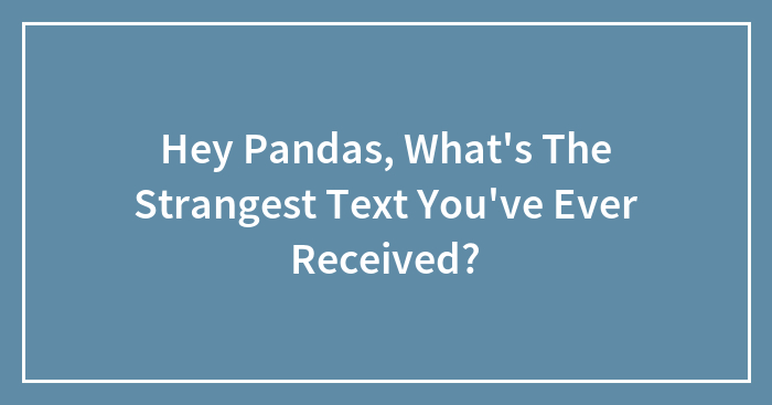 Hey Pandas, What’s The Strangest Text You’ve Ever Received? (Closed)