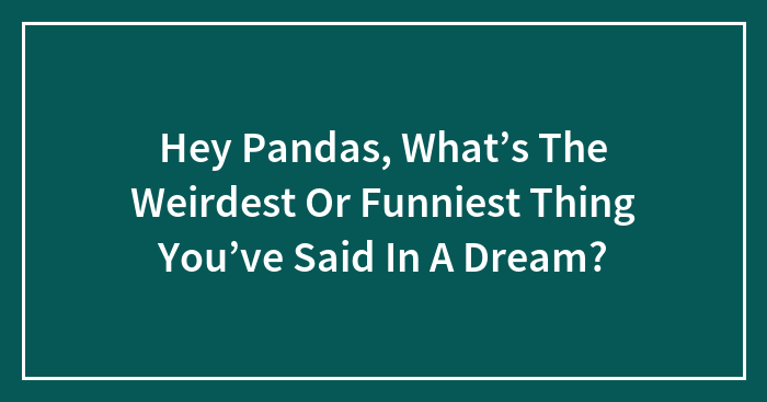 Hey Pandas, What’s The Weirdest Or Funniest Thing You’ve Said In A Dream? (Closed)