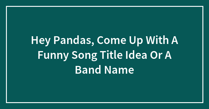 Hey Pandas, Come Up With A Funny Song Title Idea Or A Band Name