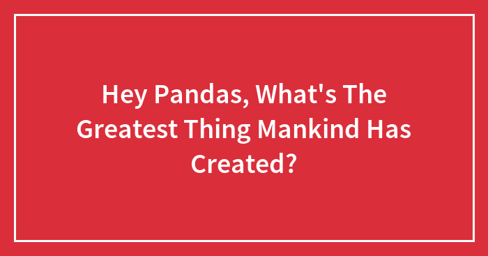 Hey Pandas, What’s The Greatest Thing Mankind Has Created?