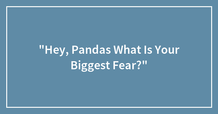 “Hey, Pandas What Is Your Biggest Fear?”