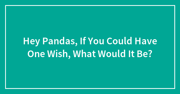 Hey Pandas, If You Could Have One Wish, What Would It Be? (Closed)