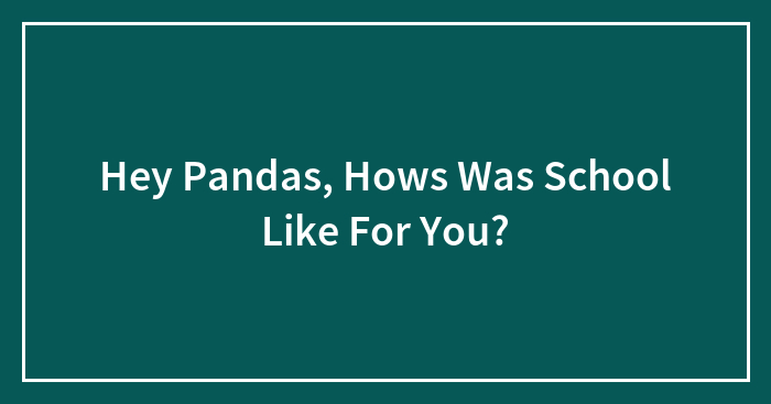 Hey Pandas, Hows Was School Like For You?