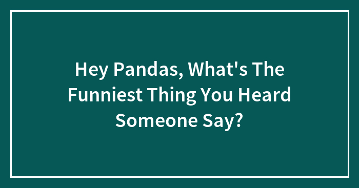 Hey Pandas, What’s The Funniest Thing You Heard Someone Say? (Closed)