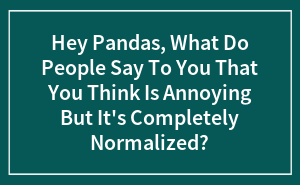 Hey Pandas, What Do People Say To You That You Think Is Annoying But It's Completely Normalized?