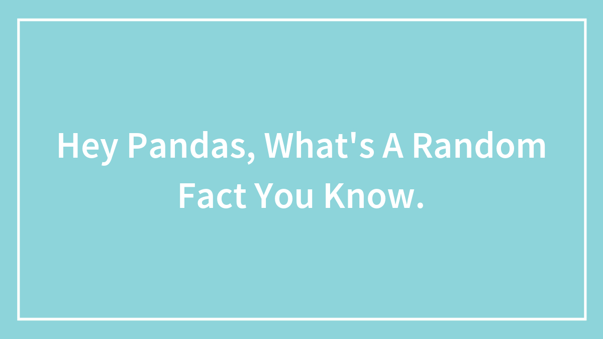 Hey Pandas, What’s A Random Fact You Know.