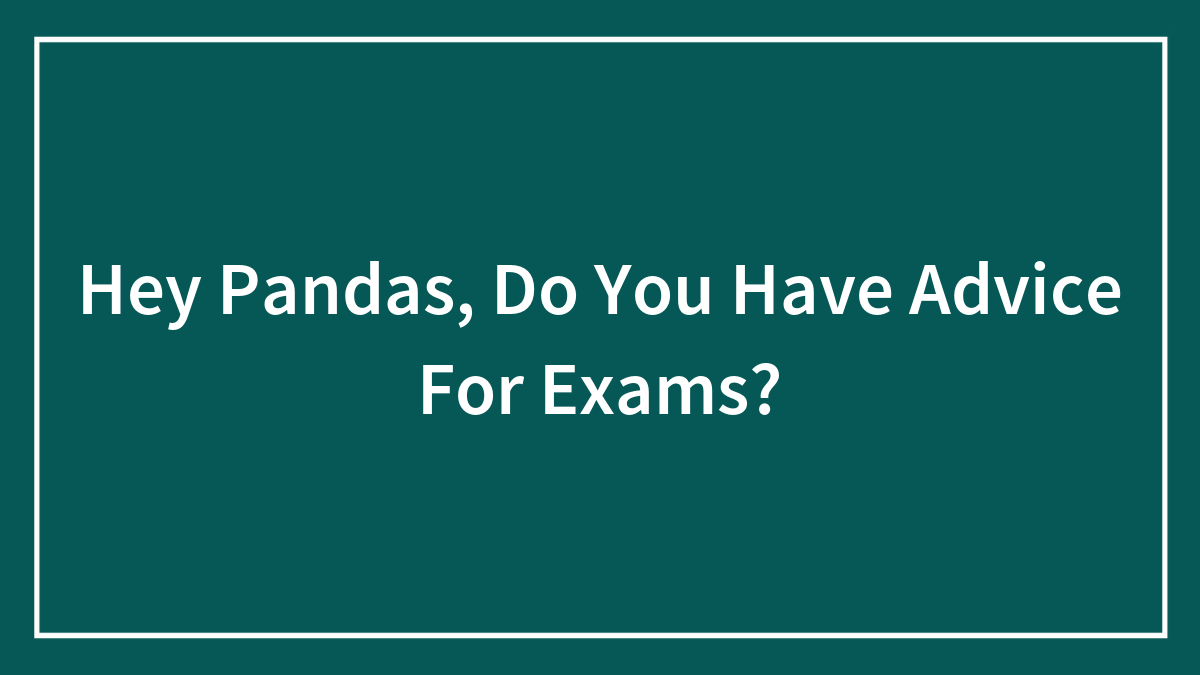 Hey Pandas, Do You Have Advice For Exams?