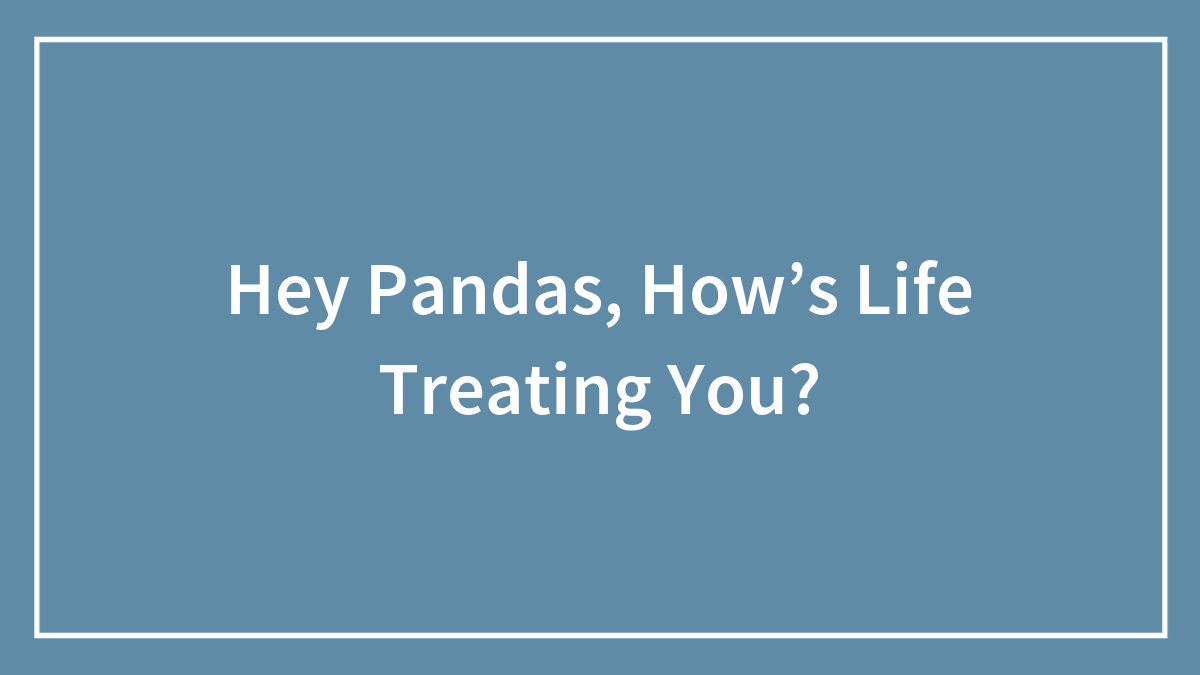 Hey Pandas, How’s Life Treating You?