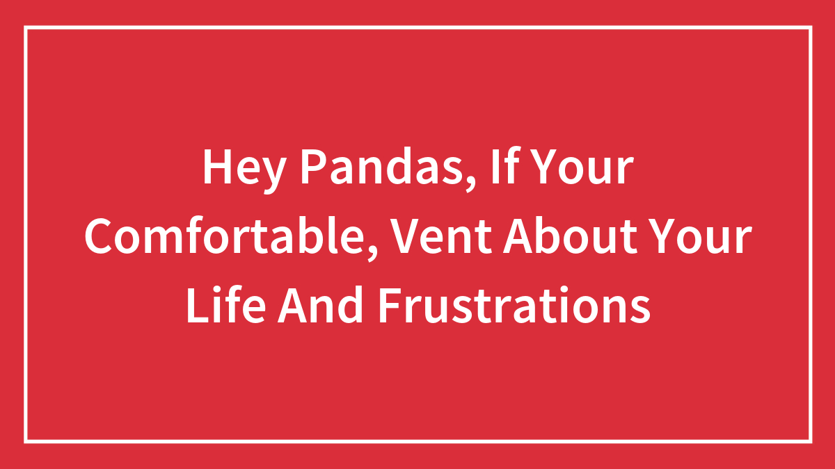 Hey Pandas, If Your Comfortable, Vent About Your Life And Frustrations