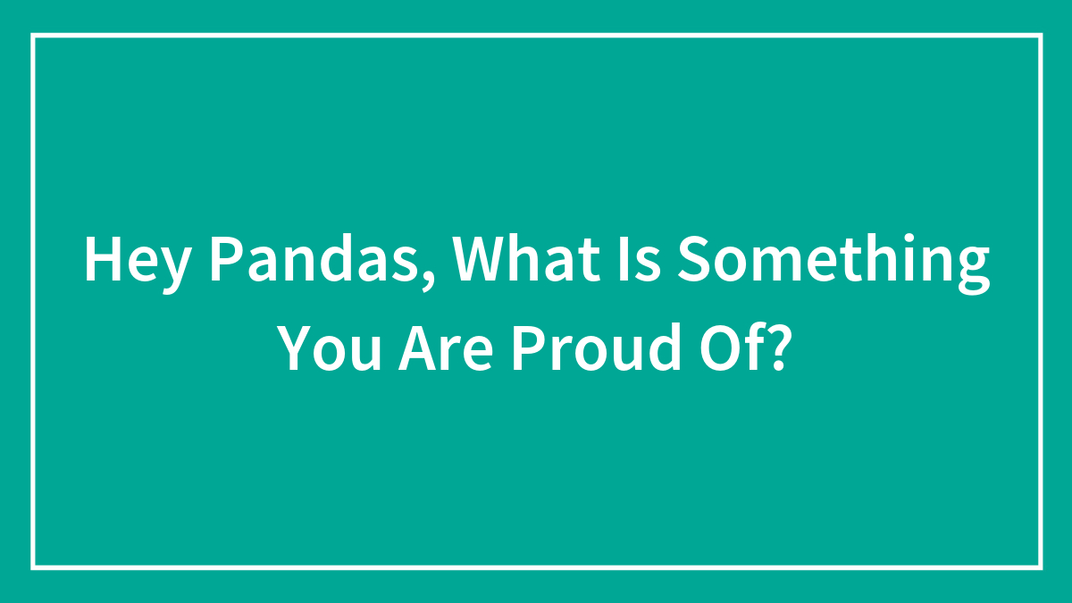 Hey Pandas, What Is Something You Are Proud Of?