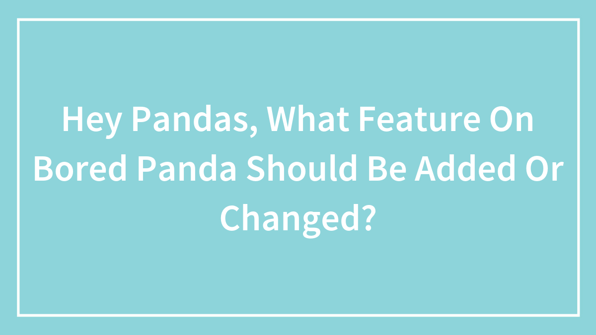 Hey Pandas, What Feature On Bored Panda Should Be Added Or Changed? (Closed)