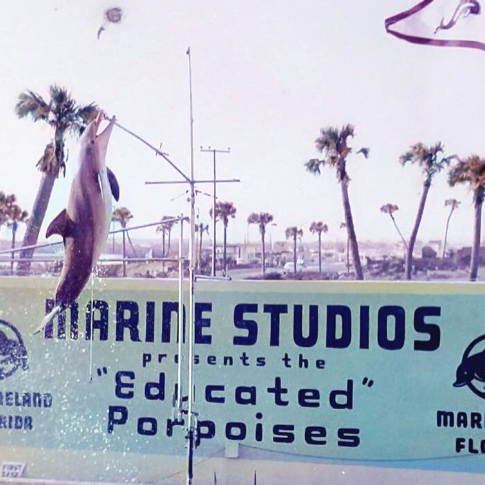 I Gathered Photos Showcasing Historic Marine Studios, Marineland Of Florida