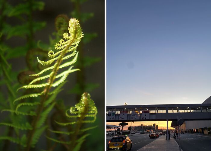 Hey Pandas, Post The Best Photographs You Took In April (Closed)