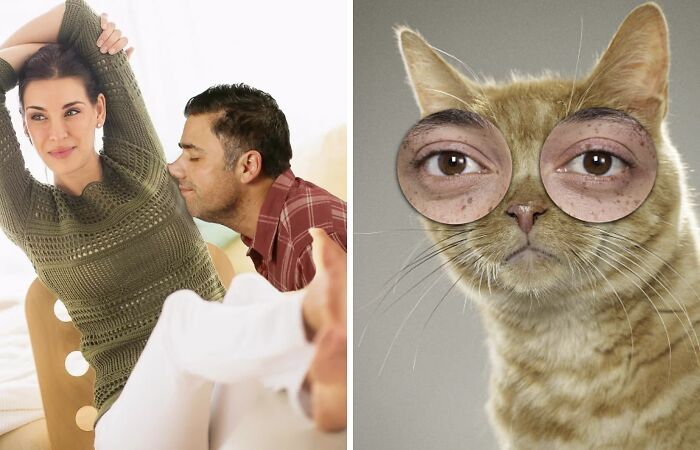 Hey Pandas, Find The Funniest Stock Photo On The Internet (Closed)