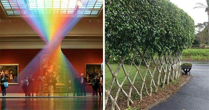 50 People That Got So Creative In The Weirdest And Most Unique Ways, This Group Just Had To Feature Them
