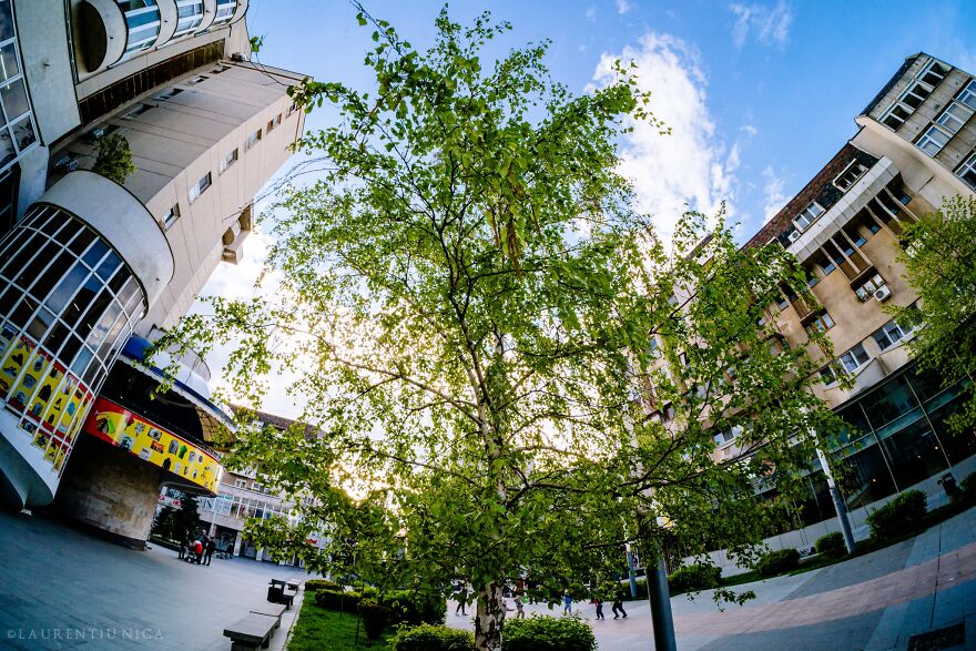 40 Colourful Frames Of Craiova's Enchanting Downtown: Spring's Kaleidoscope Unveiled