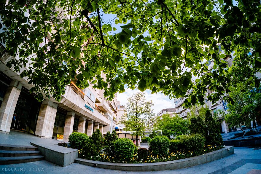 40 Colourful Frames Of Craiova's Enchanting Downtown: Spring's Kaleidoscope Unveiled