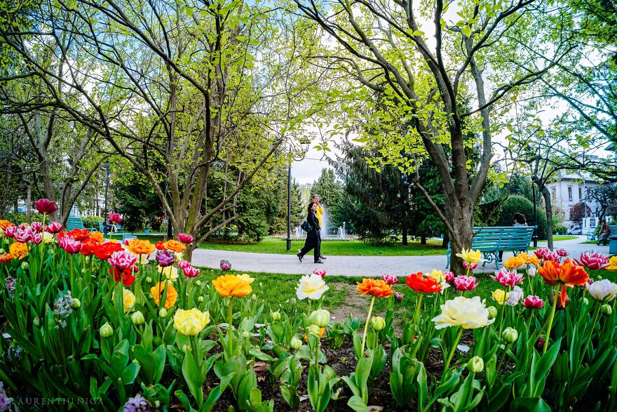 40 Colourful Frames Of Craiova's Enchanting Downtown: Spring's Kaleidoscope Unveiled