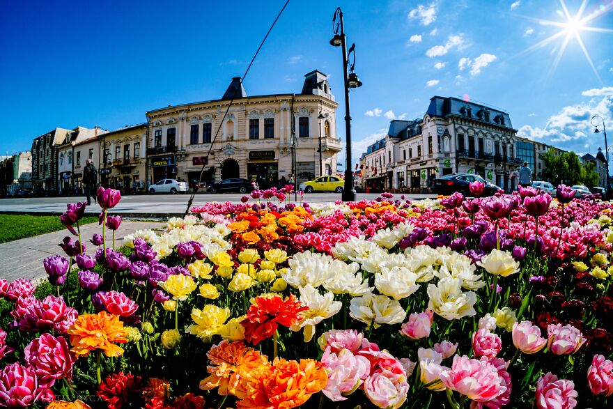 40 Colourful Frames Of Craiova's Enchanting Downtown: Spring's Kaleidoscope Unveiled