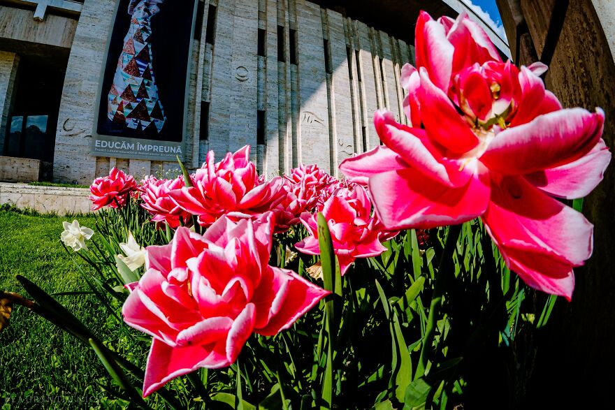40 Colourful Frames Of Craiova's Enchanting Downtown: Spring's Kaleidoscope Unveiled