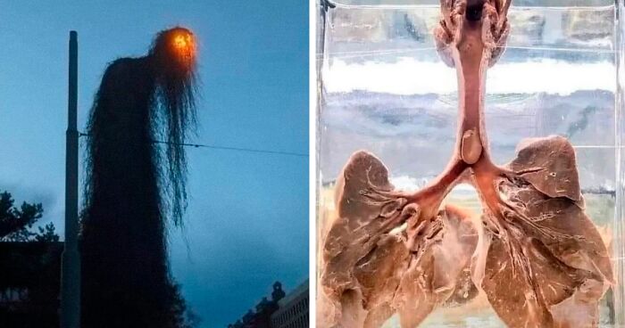 This Twitter Account Is About All Things Creepy, And Here Are 40 Of Their Most Chilling Posts