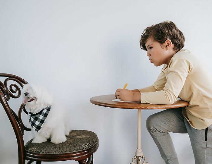 Kid drawing white dog