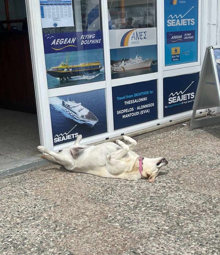 Just A Beautiful Girl Living Her Best Life In Skiathos, Greece