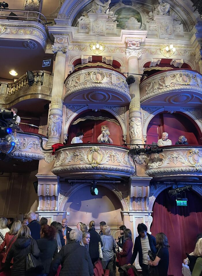 I Never Expected To Have A Spot In The Theatre, But Miracles *do* Happen… A Vip Watching Mrs Doubtfire The Musical From His Very Own Private Box 