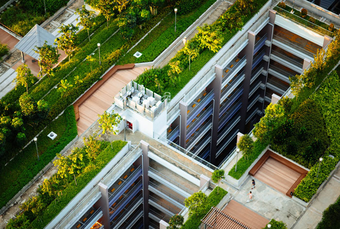 the view from the high on the street