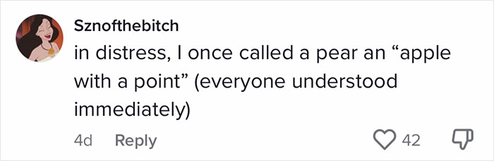 English-Second-Language-Hilarious-Mistranslations