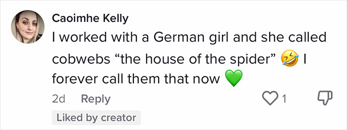 English-Second-Language-Hilarious-Mistranslations