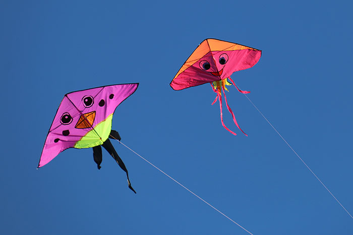 Fly a two kites