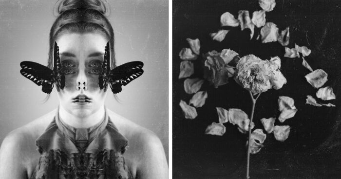 A Visual Exploration Of Narcissistic Abuse And Recovery (15 Photos)