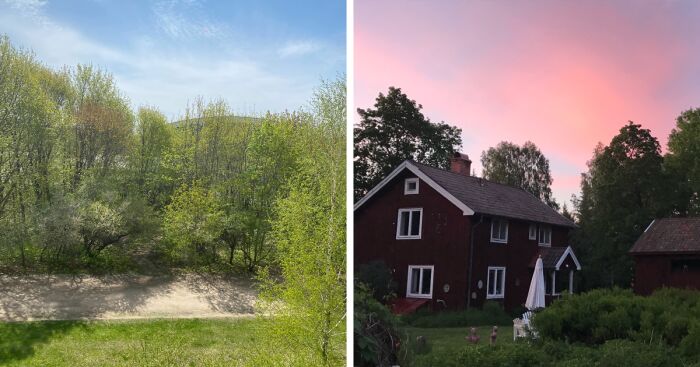 Hey Pandas, Show Us The View From Your Window (Closed)