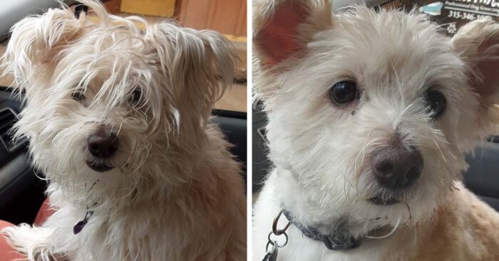 Hey Pandas, Let’s See Your Fun Before And After ‘Stories’ (Closed)