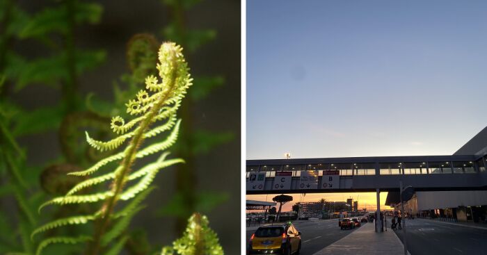 Hey Pandas, Post The Best Photographs You Took In April (Closed)