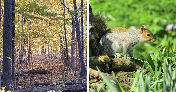 Hey Pandas, Post A Picture Of Nature’s Beauty That You Took Yourself (Closed)