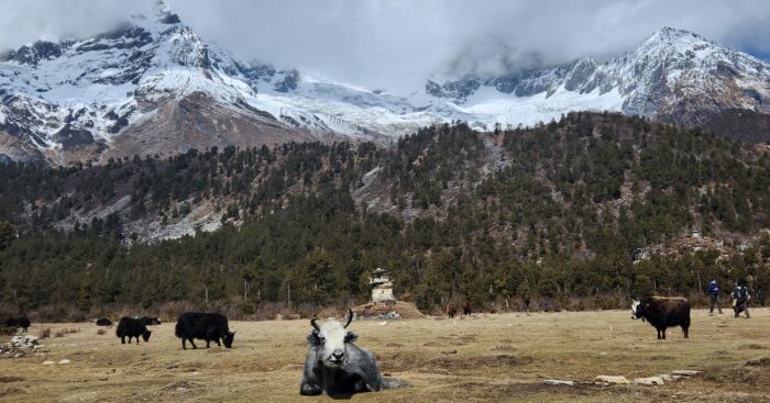 Completing 12-Day Manaslu Circuit Trek (5 Pics)