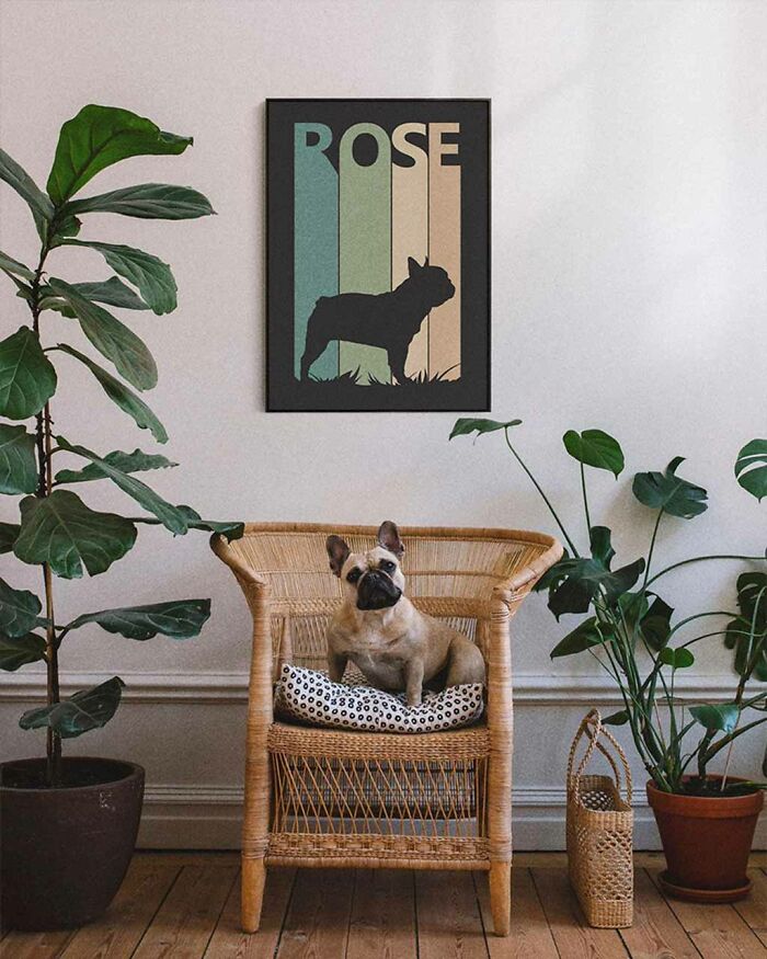Hidden Gem: Aesthetic Custom Pet Portraits By Rarepuppy, A Company From Tiny European Country Lithuania