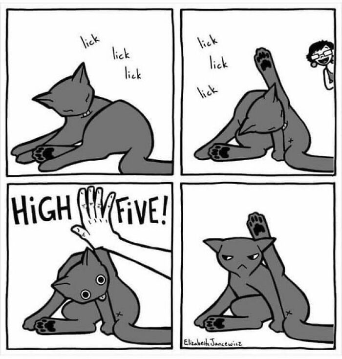 Funny-Animal-Meme-Posting