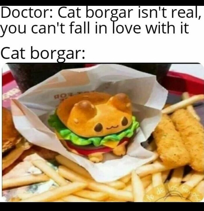 Funny-Animal-Meme-Posting