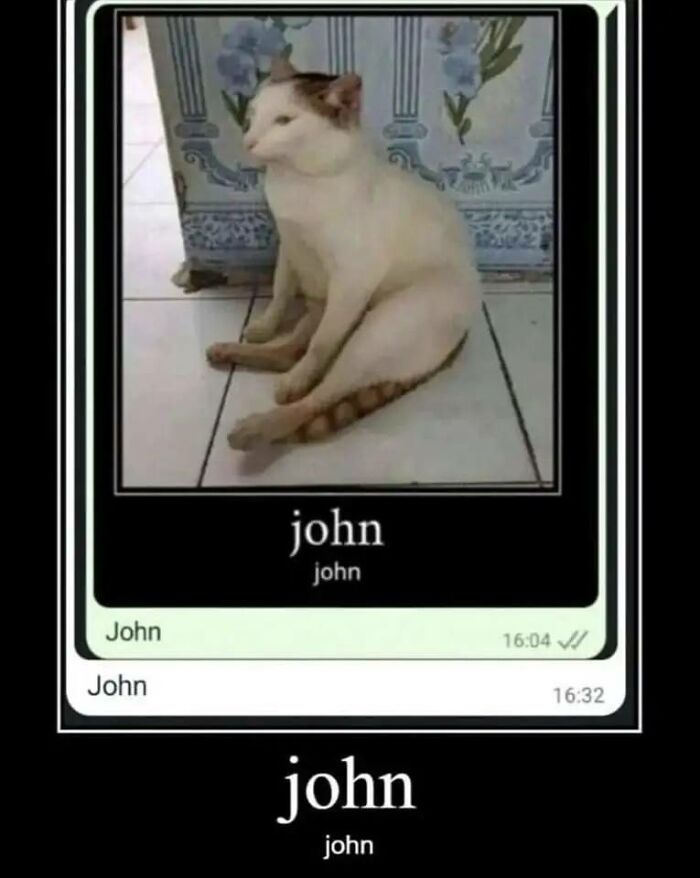 Funny-Animal-Meme-Posting